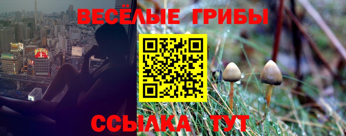 Галлюциногенные грибы Psilocybe Алапаевск