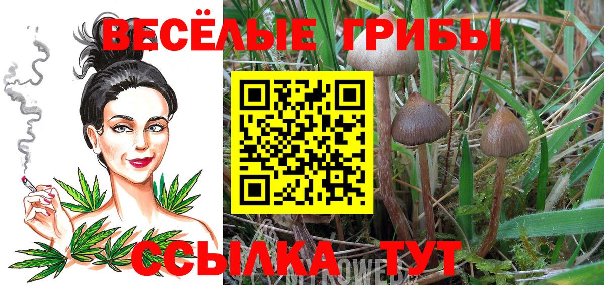 Алапаевск  Псилоцибиновые грибы ЛСД  Вход с VPN 
